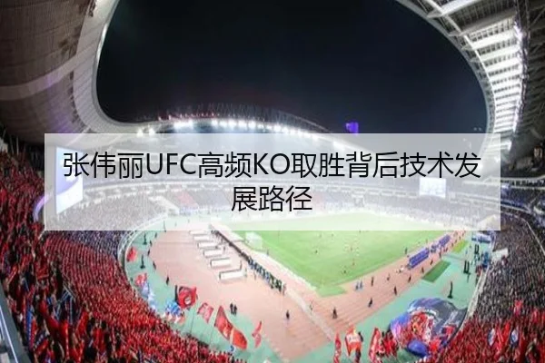张伟丽UFC高频KO取胜背后技术发展路径